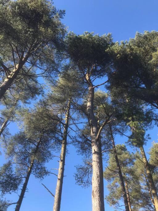 Polharrow Villa Dalry  Bagian luar foto